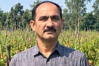 उन्नत टमाटर की खेती से शाहिद की मेहनत लाई रंग, 2 एकड़ में कमाए 1.20 लाख रुपये
