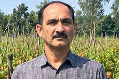 उन्नत टमाटर की खेती से शाहिद की मेहनत लाई रंग, 2 एकड़ में कमाए 1.20 लाख रुपये