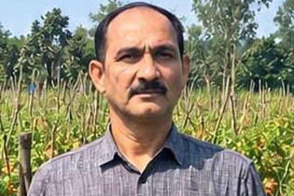 उन्नत टमाटर की खेती से शाहिद की मेहनत लाई रंग, 2 एकड़ में कमाए 1.20 लाख रुपये